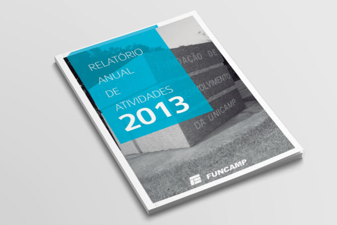 Relatório de Atividades - 2013